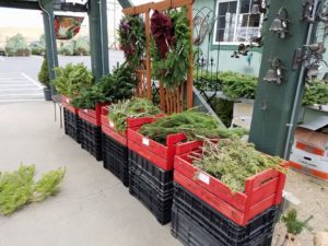 Holidays Have Arrived At The Loveland Garden Center Loveland